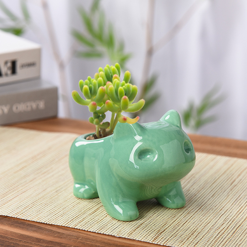 Echeveria Succulent - Creative Succulent Planter Pot Ceramic Flowerpot,
