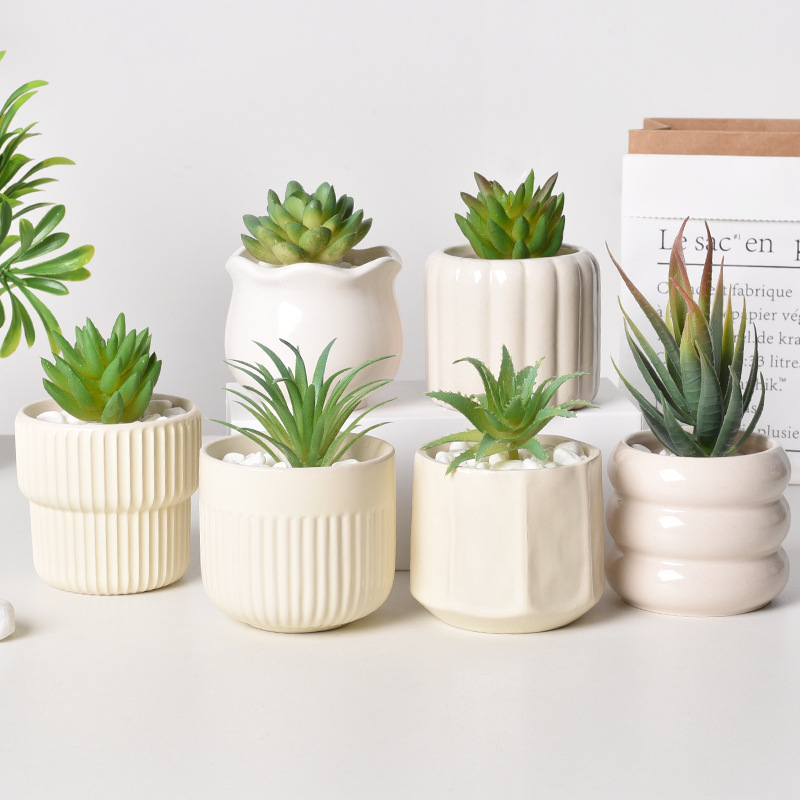 Aloe Vera Pot - Ceramic Self-Watering Succulent Planter, White Minimalist