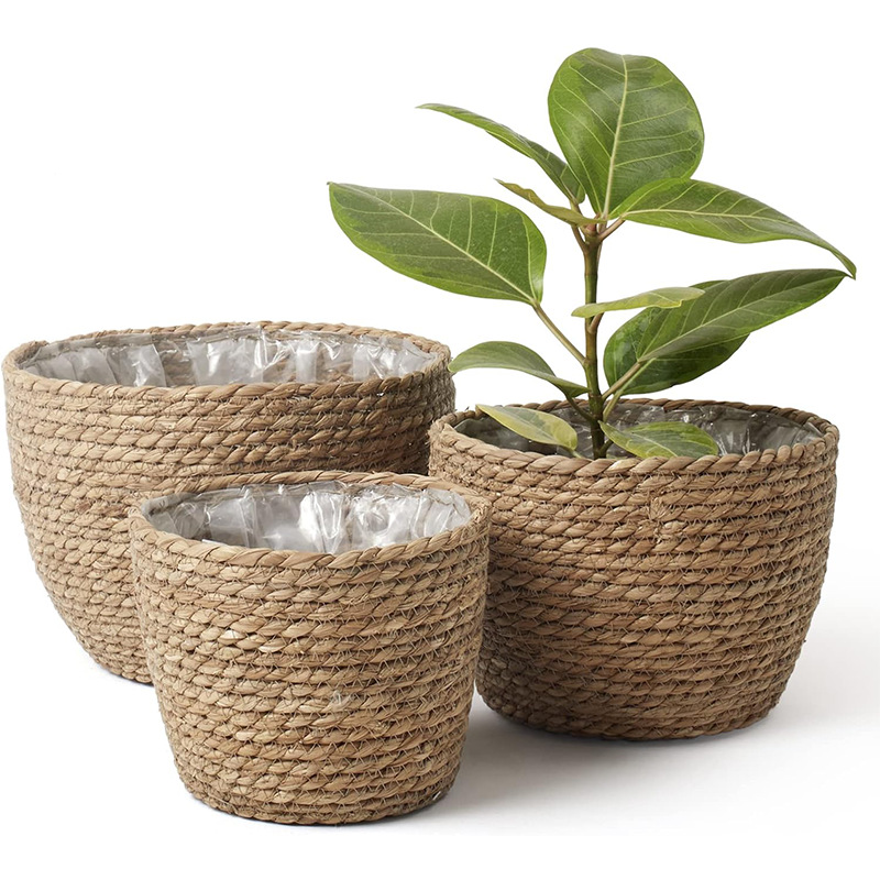 Aloe Vera Pot - Natural Woven Flower Basket Straw Wicker