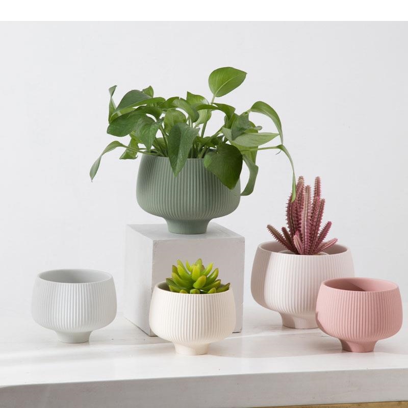 Aloe Vera Pot - Multicolor Stripes Ceramic Vase Potted Plants