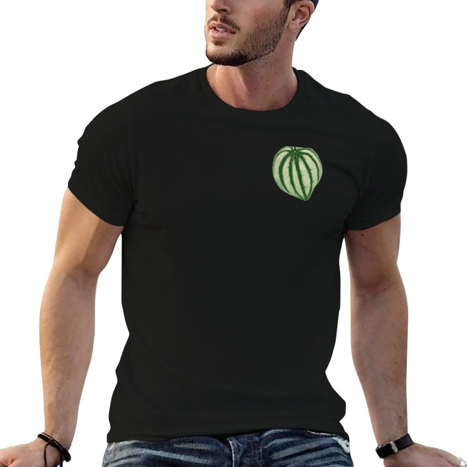 Peperomia Watermelon - Watermelon Peperomia T-Shirt animal prinfor boys